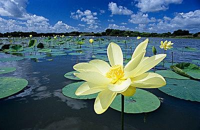 NEOWIZ与ZAKAZANE就即将推出的电子游戏《Noir Western》签署发行协议